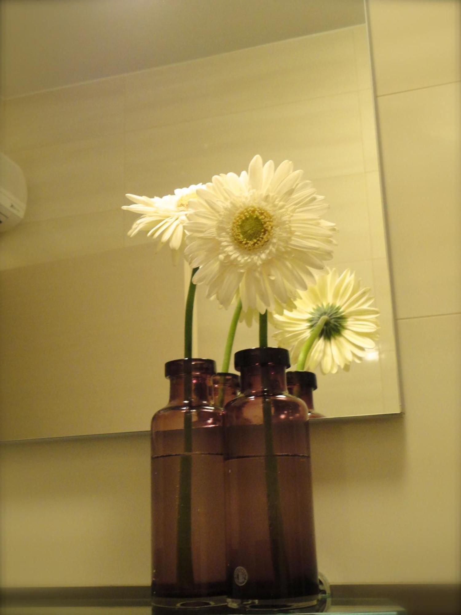 Dubrovnik Sunrise Apartment Szoba fotó